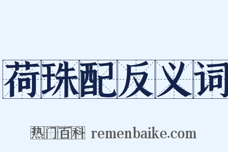 荷珠配反义词是什么意思的图片